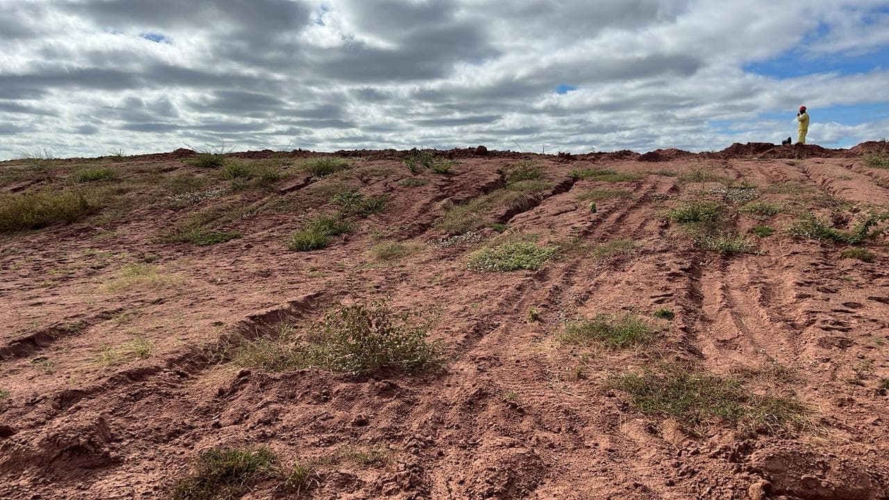 Ravinas em talude — patologia